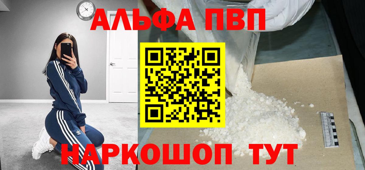 Alfa_PVP СК Калининград