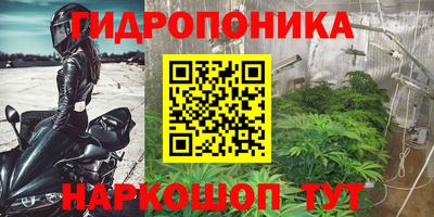 круглые Краснознаменск