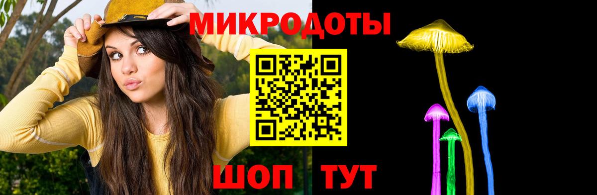 Галлюциногенные грибы прущие грибы Калининград
