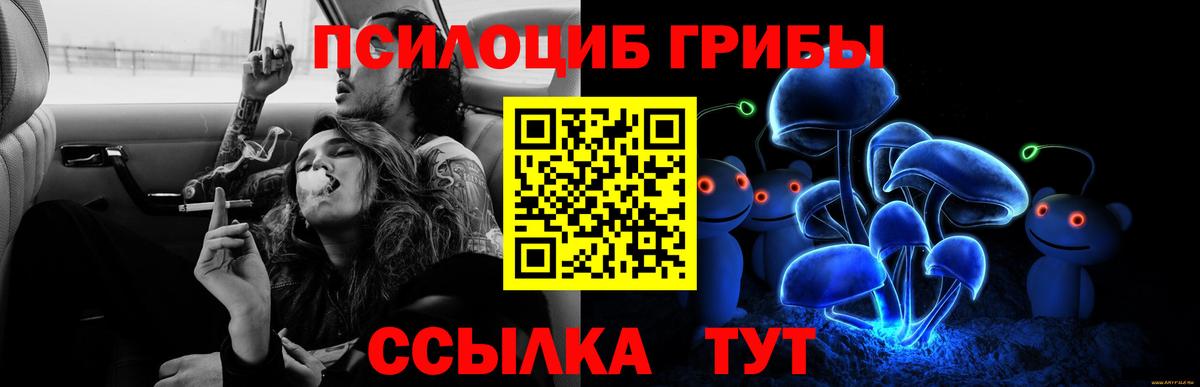 Галлюциногенные грибы Magic Shrooms  Вход с VPN  Калининград 